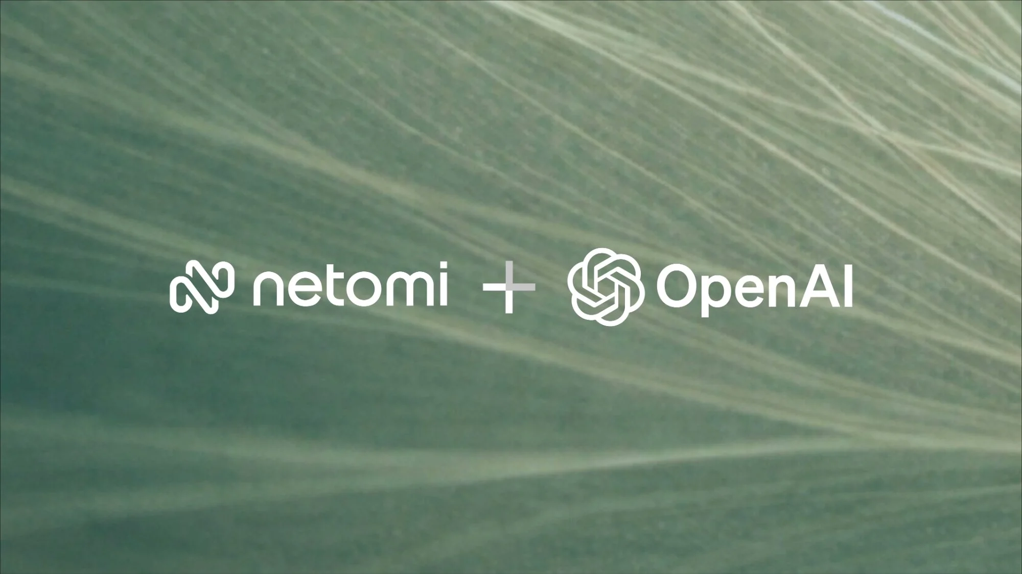 Netomi + OpenAI
